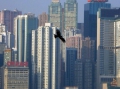 Чёрный ястреб парит над Гонконгом